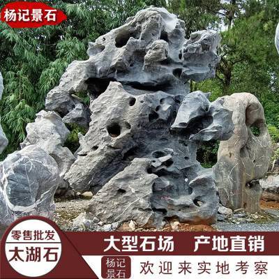 太湖石 从奇石鉴赏到假山艺术与市场动态