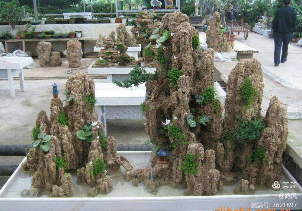 方寸之间见山水 小型假山盆景制作入门指南