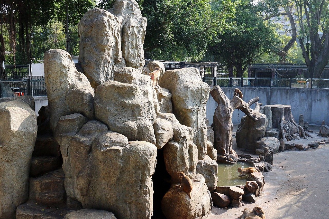 明日起，中山公园假山重焕新生，万众瞩目